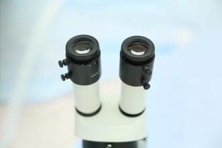 9月新疆，您不得不知的五大看點與保健器械建議